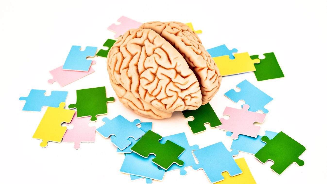 Brain,On,Colorful,Puzzle,Pieces,,Isolated,On,White,Background